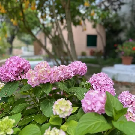 Zambella Appartement