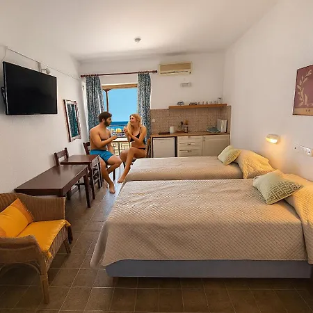 Zambella * イプソス